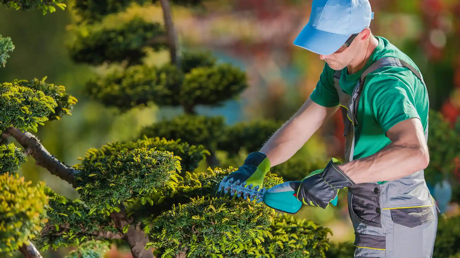 Profissional trabalhando